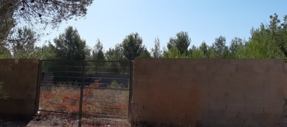 893m² Land in Manises, Spain No. 102028 4