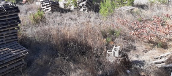 893m² Land in Manises, Spain No. 102028 14