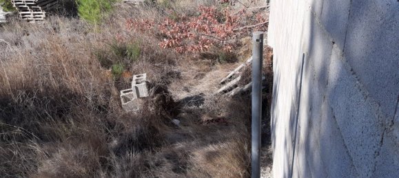 893m² Land in Manises, Spain No. 102028 6