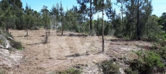 Terreno en Sintra, Portugal 25000 m² No. 150418 5