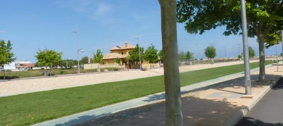 Bungalow de 2 dormitorios en Pilar de la Horadada, Spain No. 11636 14