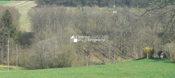 Grundstück in Blindenmarkt, Austria, Nr. 167488 4