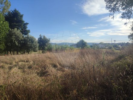 Terreno en Avelar, Portugal No. 180431