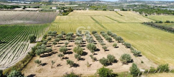 1-Zimmer Grundstück in Ispica, Italy, Nr. 62957 13