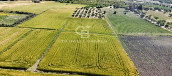 1-Zimmer Grundstück in Ispica, Italy, Nr. 62957 11