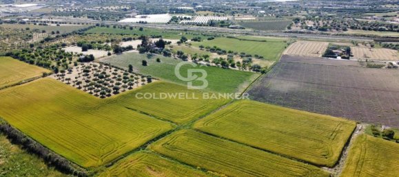 1-Zimmer Grundstück in Ispica, Italy, Nr. 62957 19