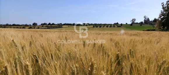 1-Zimmer Grundstück in Ispica, Italy, Nr. 62957 10