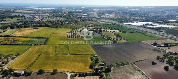 1-Zimmer Grundstück in Ispica, Italy, Nr. 62957 17