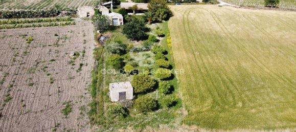 1-Zimmer Grundstück in Ispica, Italy, Nr. 62957 4