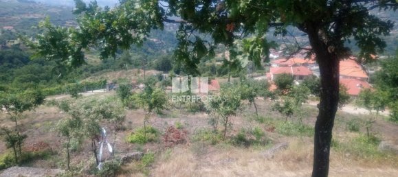  قطعة أرض في Soalhaes, Portugal 39000متر مربع رقم 56111 9