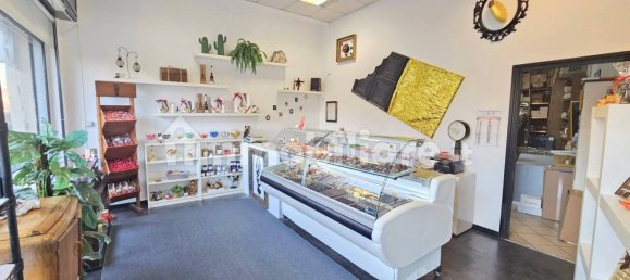 3-salle Propriété commerciale à Turin, Italy No. 115786 7