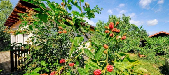 3 rooms House in Gussing, Austria No. 155190 23