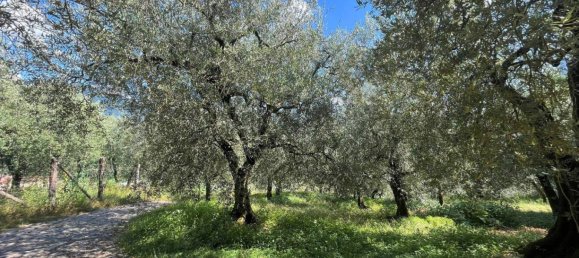 1361m² Land in Riva del Garda, Italy No. 154736 3