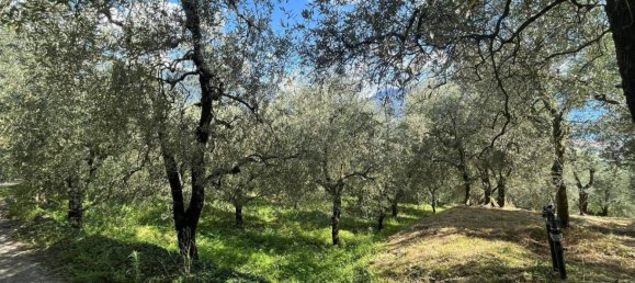 1361m² Land in Riva del Garda, Italy No. 154736 7