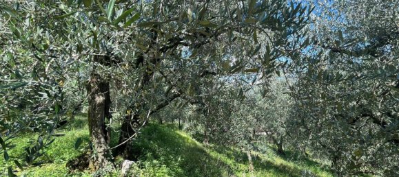 1361m² Land in Riva del Garda, Italy No. 154736 6