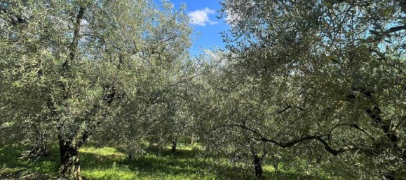 1361m² Land in Riva del Garda, Italy No. 154736 2