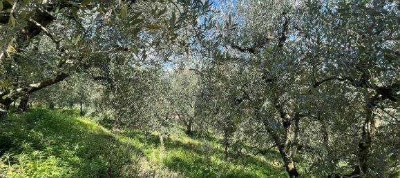 1361m² Land in Riva del Garda, Italy No. 154736 5