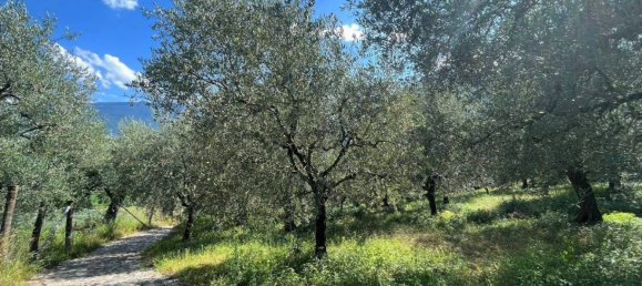 1361m² Land in Riva del Garda, Italy No. 154736 12