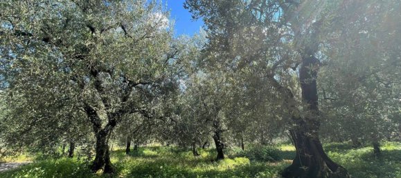 1361m² Land in Riva del Garda, Italy No. 154736 13