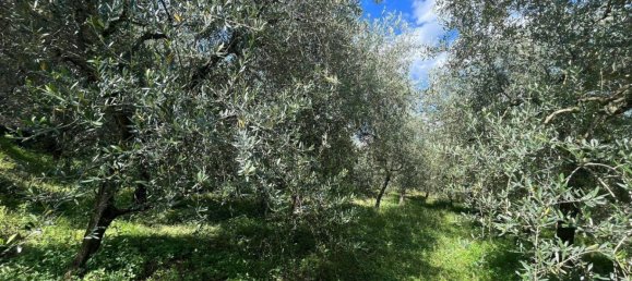 1361m² Land in Riva del Garda, Italy No. 154736 8