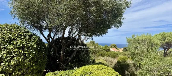 3-salle Appartement à Lumio, France No. 352082 27