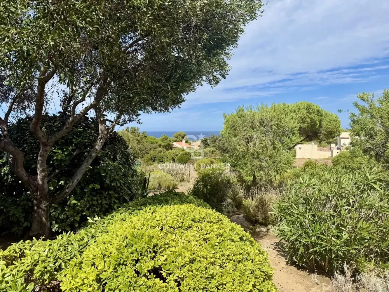 3-salle Appartement à Lumio, France No. 352082