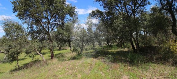 Terrain à Castelo Branco, Portugal 7600m² No. 91355 22