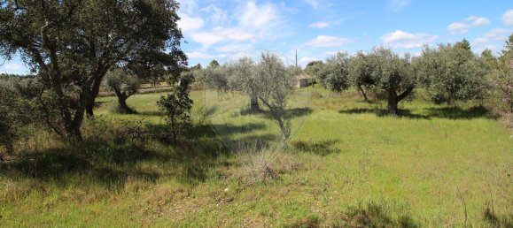 Terrain à Castelo Branco, Portugal 7600m² No. 91355 16