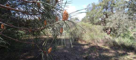 Terrain à Castelo Branco, Portugal 7600m² No. 91355 13