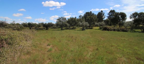 Terrain à Castelo Branco, Portugal 7600m² No. 91355 3