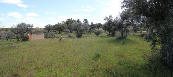 Terrain à Castelo Branco, Portugal 7600m² No. 91355 5