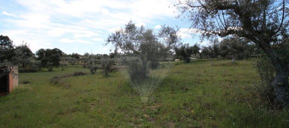 Terrain à Castelo Branco, Portugal 7600m² No. 91355 4