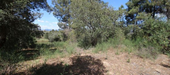 Terrain à Castelo Branco, Portugal 7600m² No. 91355 6