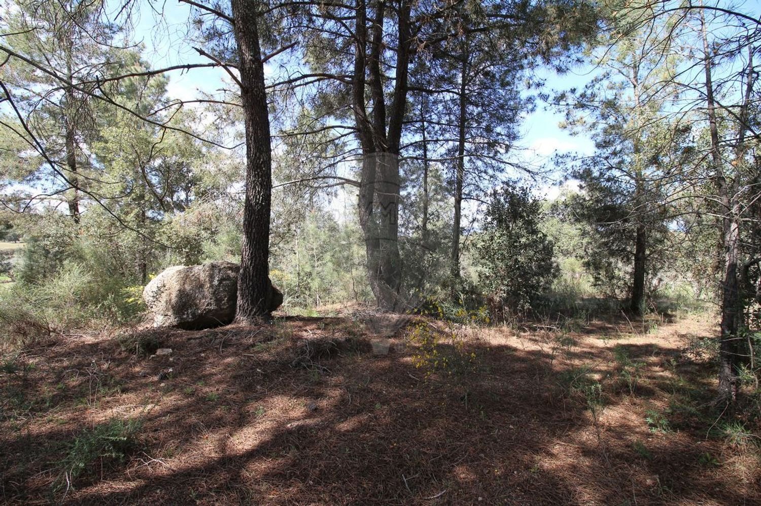 Terrain à Castelo Branco, Portugal 7600m² No. 91355