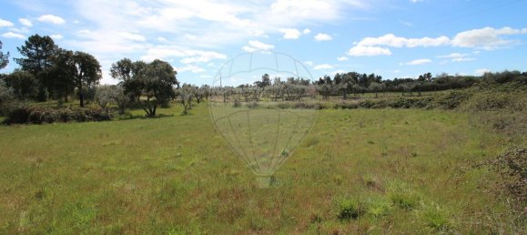 Terrain à Castelo Branco, Portugal 7600m² No. 91355 2