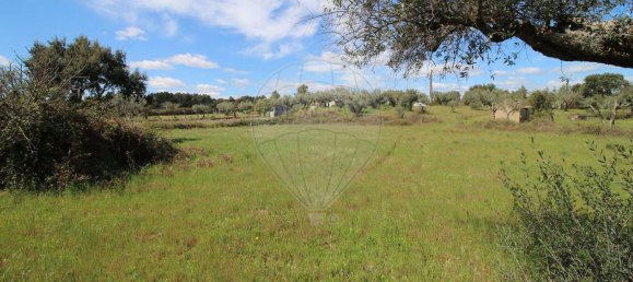 Terrain à Castelo Branco, Portugal 7600m² No. 91355 23