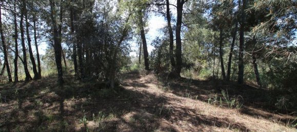 Terrain à Castelo Branco, Portugal 7600m² No. 91355 12