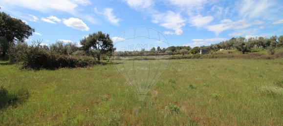 Terrain à Castelo Branco, Portugal 7600m² No. 91355 19