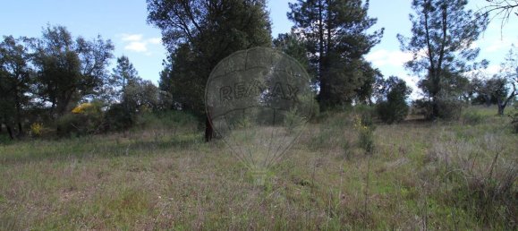 Terrain à Castelo Branco, Portugal 7600m² No. 91355 21