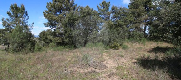 Terrain à Castelo Branco, Portugal 7600m² No. 91355 7