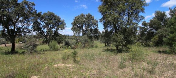 Terrain à Castelo Branco, Portugal 7600m² No. 91355 8