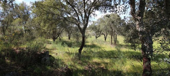 Terrain à Castelo Branco, Portugal 7600m² No. 91355 15