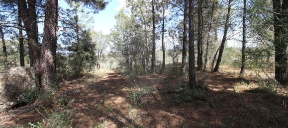 Terrain à Castelo Branco, Portugal 7600m² No. 91355 11