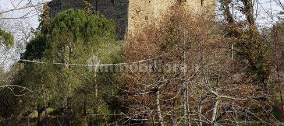 Apartamento de 2 habitaciónes en Castel San Niccolò, Italy No. 179575 12