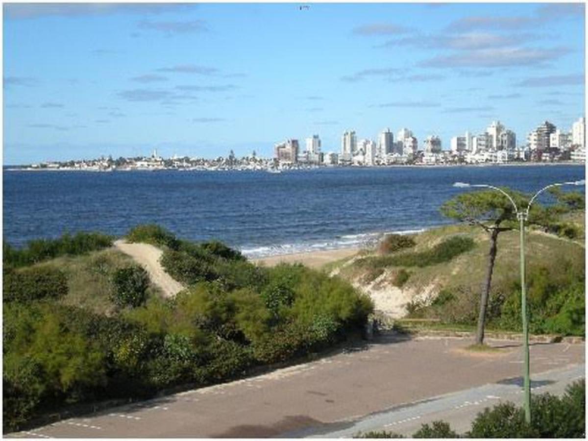 2 Schlafzimmer Wohnung in Maldonado, Uruguay, Nr. 12060