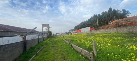 4400m² Land in Canelas, Portugal No. 112767 5