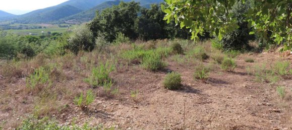 Земельный участок в Коллобрьер, Франция № 120940 3