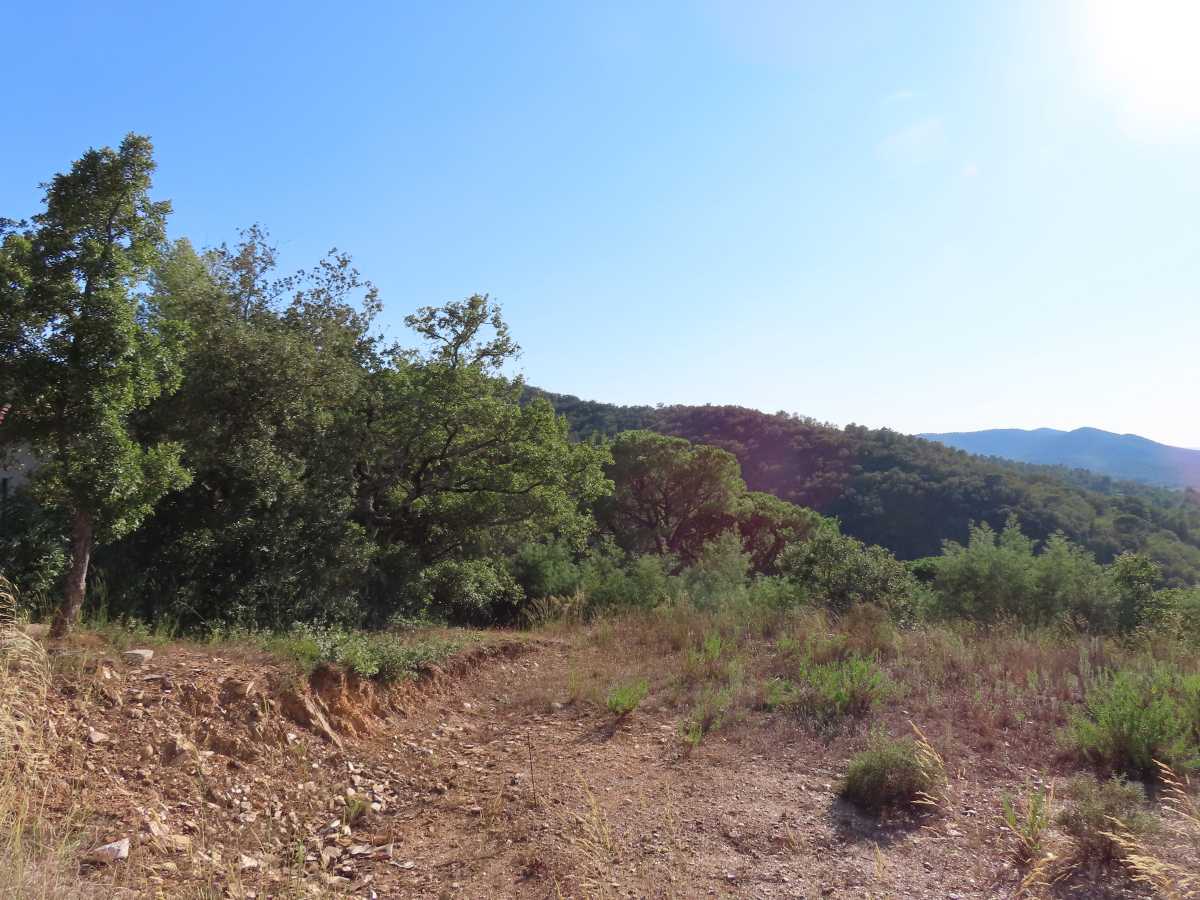 Земельный участок в Коллобрьер, Франция № 120940