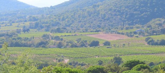 Земельный участок в Коллобрьер, Франция № 120940 2