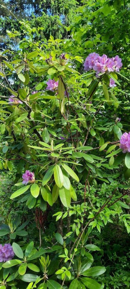  قطعة أرض في Krems an der Donau, Austria 8272متر مربع رقم 228562